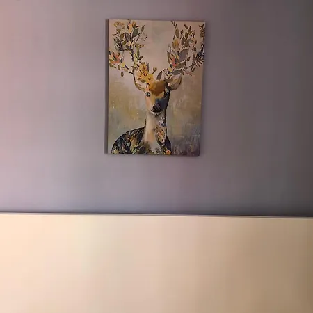 Altstadt Appartamento Heidelberg